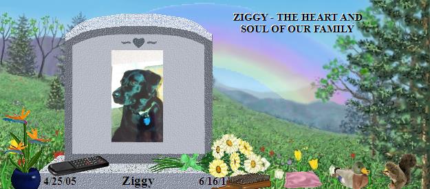 Ziggy's Rainbow Bridge Pet Loss Memorial Residency Image