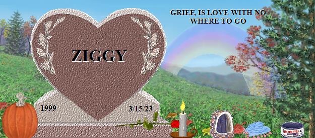 ZIGGY's Rainbow Bridge Pet Loss Memorial Residency Image