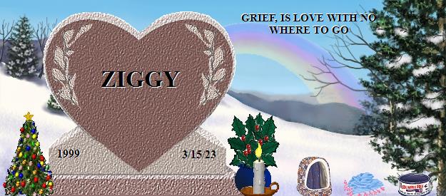 ZIGGY's Rainbow Bridge Pet Loss Memorial Residency Image