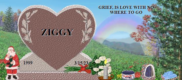ZIGGY's Rainbow Bridge Pet Loss Memorial Residency Image