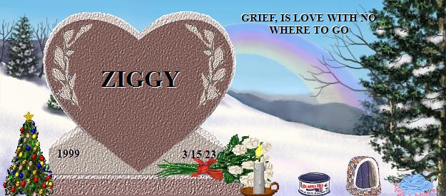 ZIGGY's Rainbow Bridge Pet Loss Memorial Residency Image
