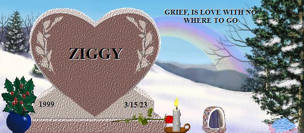 ZIGGY's Rainbow Bridge Pet Loss Memorial Residency Image