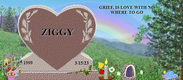 ZIGGY's Rainbow Bridge Pet Loss Memorial Residency Image