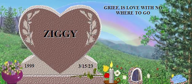 ZIGGY's Rainbow Bridge Pet Loss Memorial Residency Image
