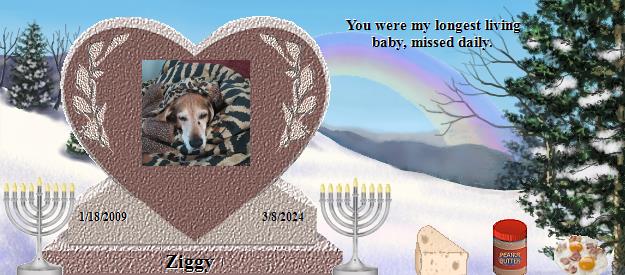 Ziggy's Rainbow Bridge Pet Loss Memorial Residency Image