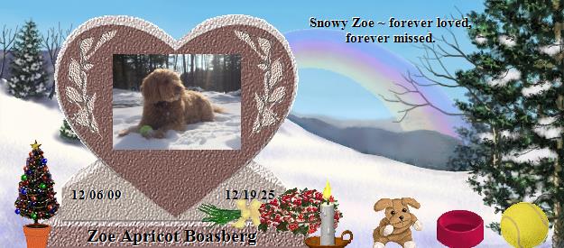 Zoe Apricot Boasberg's Rainbow Bridge Pet Loss Memorial Residency Image