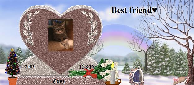 Zoey's Rainbow Bridge Pet Loss Memorial Residency Image
