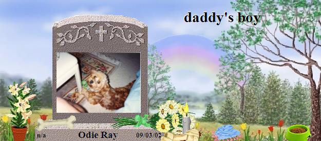 Odie Ray's Rainbow Bridge Pet Loss Memorial Residency Image
