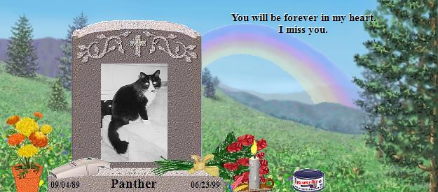 Panther's Rainbow Bridge Pet Loss Memorial Residency Image