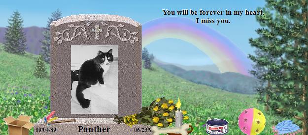 Panther's Rainbow Bridge Pet Loss Memorial Residency Image