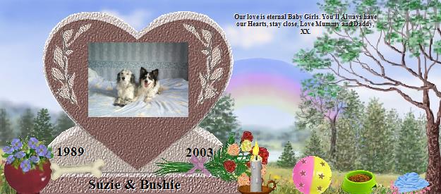 Suzie & Bushie's Rainbow Bridge Pet Loss Memorial Residency Image